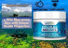 4 (Biomatrix) Madre Cell Plus AFA Bioxtron Health celulas Madres cream