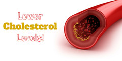 Support Normal Body Fat Levels – Reduce Cholesterol 460mg – Beta Sitosterol 2B
