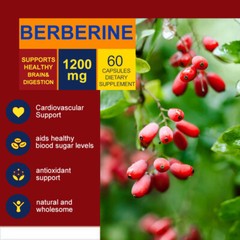 Berberine Extract Capsules 1200mg Blood Sugar Support Supplement 30 Servings
