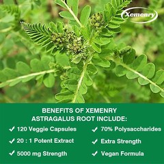 Extra Strength Astragalus Root 20:1 Extract 5000mg – Immune Support,Energy Boost