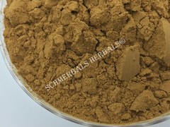 Dream Herb, Calea zacatechichi, 100:1 Powder Extract~ Schmerbals Herbals