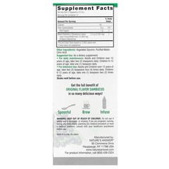 Sambucus, Black Elderberry, Alcohol-Free, 12,000 mg, 4 fl oz (120 ml)