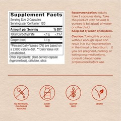 Ginger Root Capsules 1,100 mg – Vegan, Non-GMO, 240 ct for Digestive Comfort & N