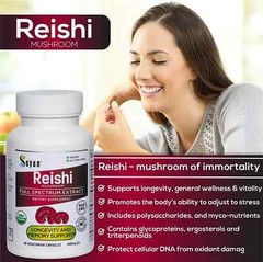 Reishi Mushroom Vegetarian Organic Supplement Energy Booster Ganoderma 90 Caps