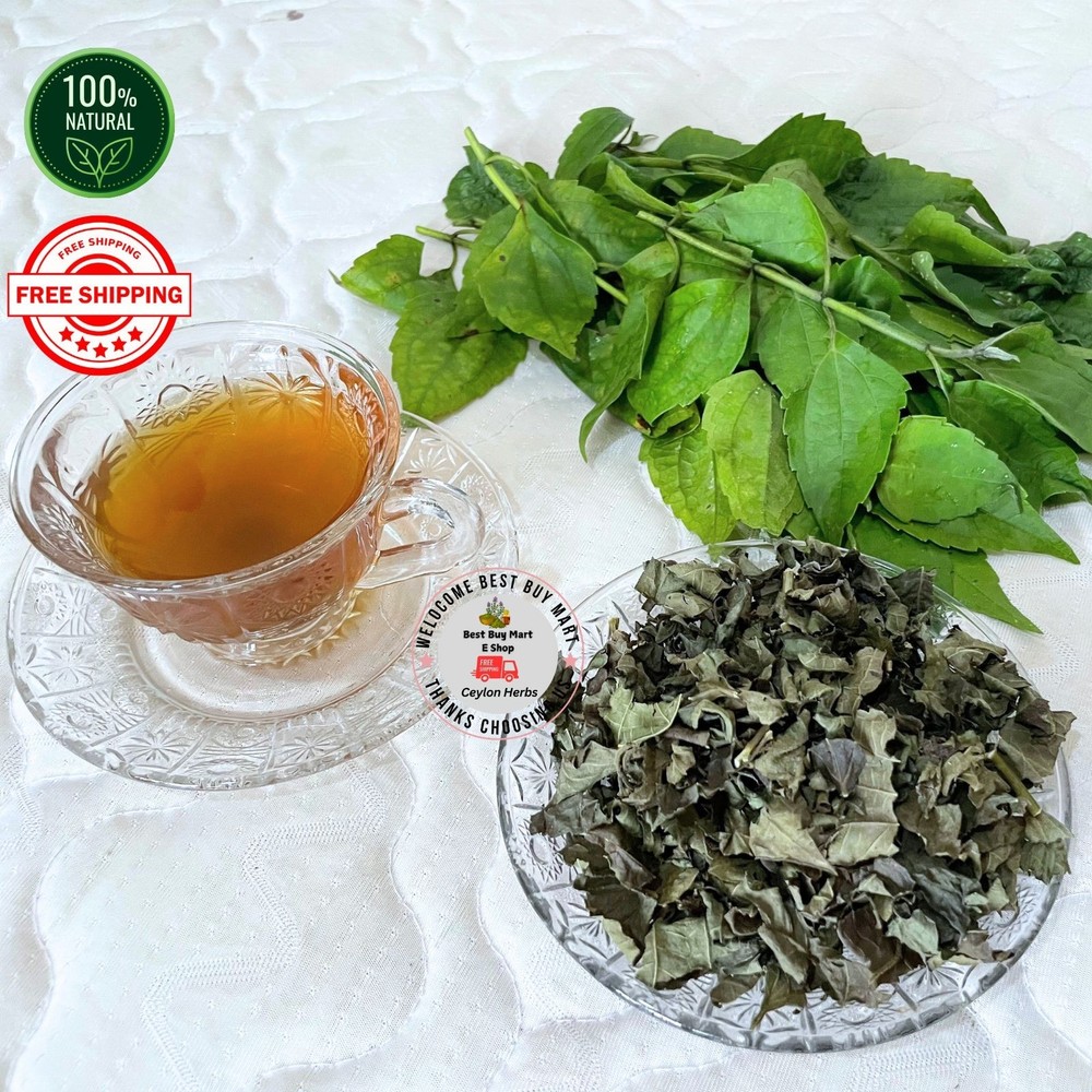 100% Natural Calea Zacatechichi Dried Herb Mexican Dream Herb for Tea