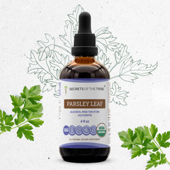 Secrets Of The Tribe Parsley Leaf Tincture Alcohol-FREE