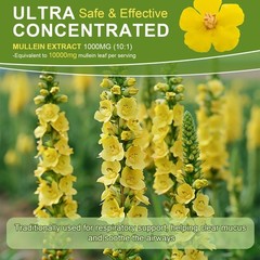 2xMullein Leaf Extract Natural Liquid Drop Healthy Lung Cleanse Respiratory 60ML