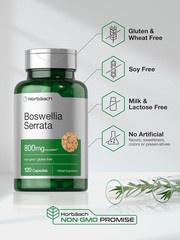Boswellia Serrata Herbal Extract Capsules 1200 Mg Capsule-USA