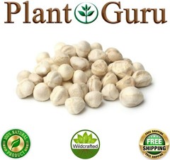 500 Moringa Oleifera Seeds Kernel 4 oz. SHELLED Fresh Organic Semilla De Moringa