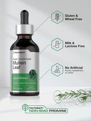 Mullein Leaf Extract Drops | 2 fl oz | Alcohol Free Liquid Tincture | Vegetar…