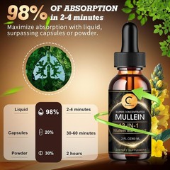 2Pack Mullein Drops for Lungs – Lung Detox for Respiratory Health Lung Cleanse
