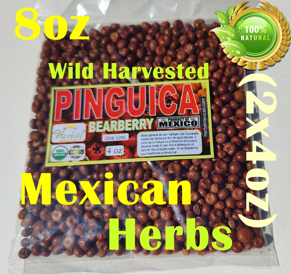 Uva Ursi, Pinguica,Arctostaphylos, Bearberry, uva ursi fruit Organic wild 8oz !