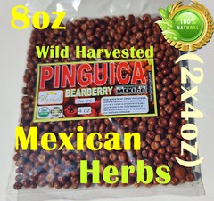 Uva Ursi, Pinguica,Arctostaphylos, Bearberry, uva ursi fruit Organic wild 8oz !