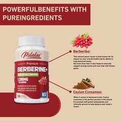 Premium Berberine HCl with Ceylon Cinnamon 1200mg – Blood Sugar, Immune Support