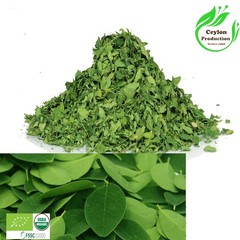 Organic Moringa Leaf Capsules 600mg Natural Moringa Oleifera Herbal Supplement