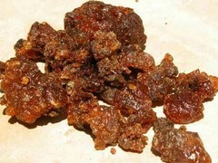 Tree Gum Guggul Guggulu Commiphora Indian Raw & Whole Herbs Organic 100g USPS