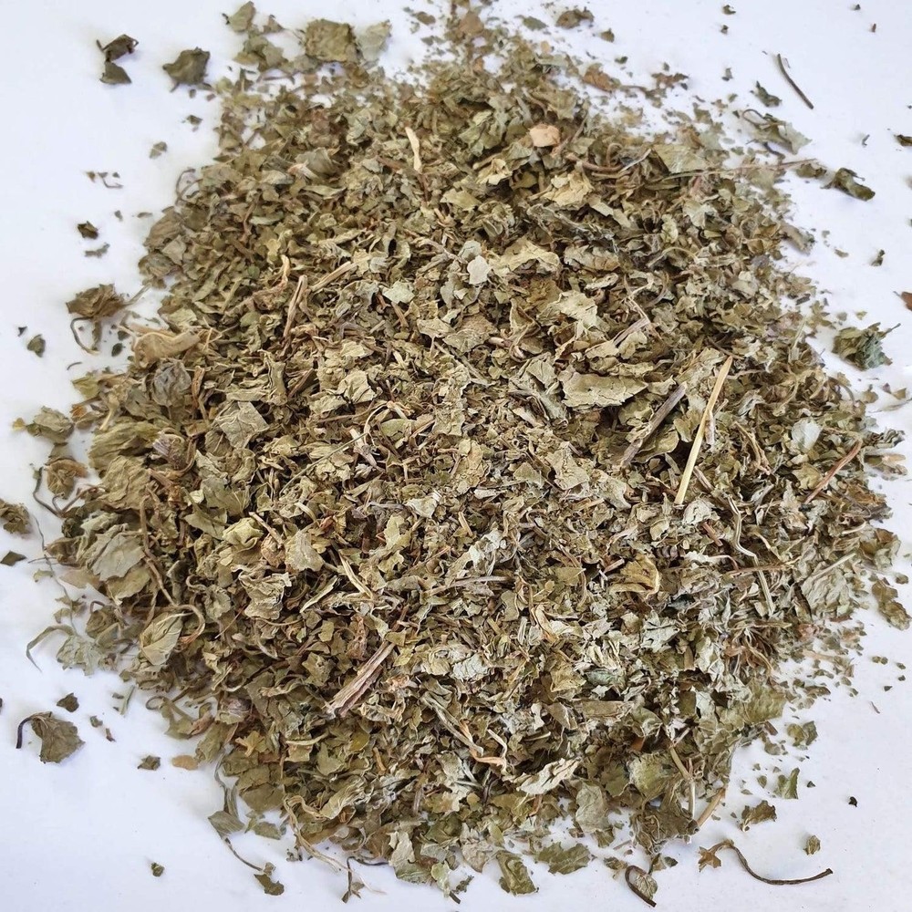 Brahmi Ayurvedic Herbal Bacopa Monnieri Natural INDIAN Dried Herb Free Shipping