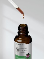 Horbaach Echinacea Drops Herb Tincture | 2 fl oz | Super Concentrated Root Extra