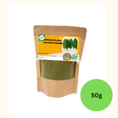 Insulin Plant Leaves Powder Dried Costus Igneus Thebu Organic Natural Herbal Tea