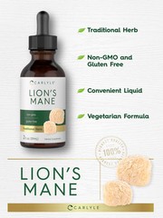Lions Mane Extract Liquid | 2 Fl Oz | Vegetarian Tincture | by Carlyle