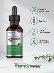 Lemon Balm Leaf Liquid Extract | 2 fl oz | Melissa Officinalis | by Horbaach