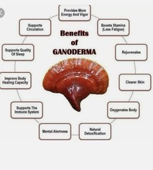 Gano Excel Excellium 90 Capsules Lingzhi Reishi FROM USA