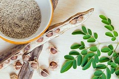 Moringa, Organic moringa Oleifera,Premium moringa seeds, semillas de moringa