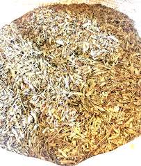 Mugwort Herb Dried Cut Sifted – Hierba Artemisia Vulgaris Ritual Incense Herb