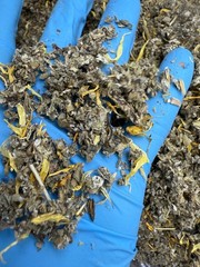 Mullein Herb Red Raspberry Leaf Calendula Flowers tea Organic Mix oz 1 2 4 8 lb