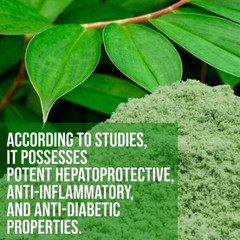Organic Insulin Plant Leaf Powder |Pure Costus Igneus Herbal Blood Sugar Support