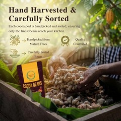 Karuthedathu Fermented Cocoa Beans Swiss Chocolate Grade Whole Cacao 100g