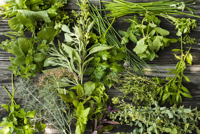 HERBS (Calamus-Comfrey Leaf) packaged from Heart of the Dragon