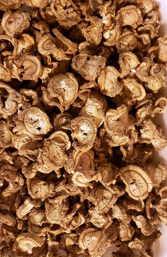 Dried Burdock Root Arctium Lappa- Herbal Tea Supplement