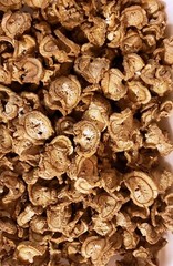 Dried Burdock Root Arctium Lappa- Herbal Tea Supplement