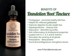 Apothecary Herb Tinctures – CHOOSE FROM 60+ Liquid Extract Herbal Supplements