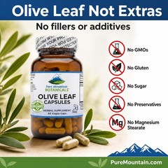 Pure Mountain Botanicals Olive Leaf Extract Capsules – 400mg Organic Olive Leaf