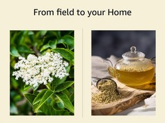 Dried Elderflower – Cut & Sifted – Herbal Tea Flower – Sambucus Nigra
