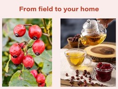 Dried Rose Hips – Whole Rosa Canina Berries – Herbal Tea – Natural