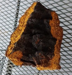 Triple Blast: Chaga, Reishi, Turkey Tail Mushroom Chopped Blend 4 oz