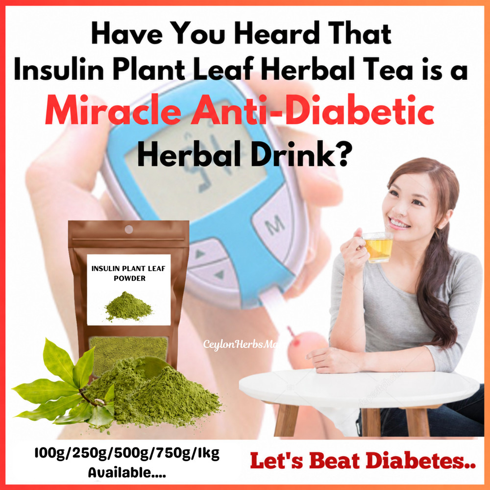 Insulin Plant Leaf Powder Costus Igneus Thebu Leaves Diabetic Organic Herbal Tea