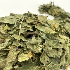 Dream Herb, Calea zacatechichi, Mexican Dream Herb ~ Schmerbals Herbals