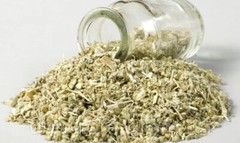 Mugwort Herb Dried Cut ( Artemisia vulgaris ) FREE SHIPPING