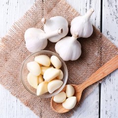cholesterol products – GARLIC & PARSLEY 600MG – garlic and parsley pills