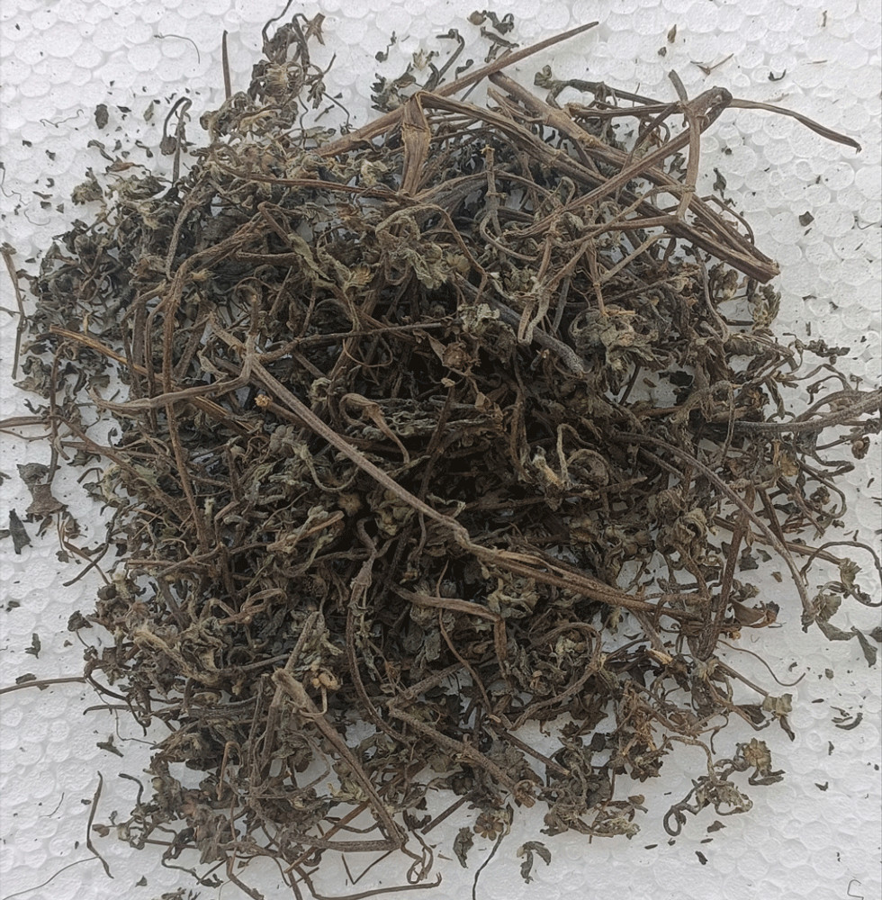 Pure Bhringraj [Eclipta alba] for Hair Re-Growth & Damage Control FREE SHIPPING
