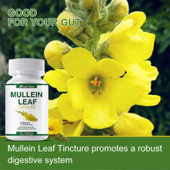 Mullein Leaf Capsules Support Lung Cleanse Respiratory Function 120 Capsules