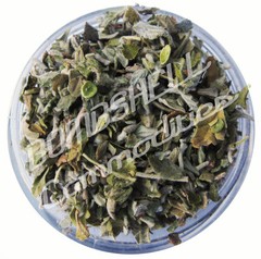 DAMIANA Leaf Cut/Sifted Organic Herb Fresh 5 lbs. $17.95/lb