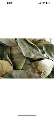 100% US Grown Local in Hawaii Organic Dried Soursop (Guanabana) Leaves-50 leaves