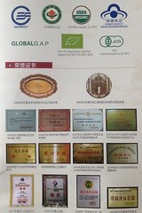 ORGANIC CERTIFIED REISHI (GANODERMA LUCIDUM) SPORE OIL 1 oz. NO CAPSULES!