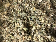 No.23 Herb Mix Osha Lobelia Mull Colts Catnip Raspberry Mint Leaf 1/8 oz sample