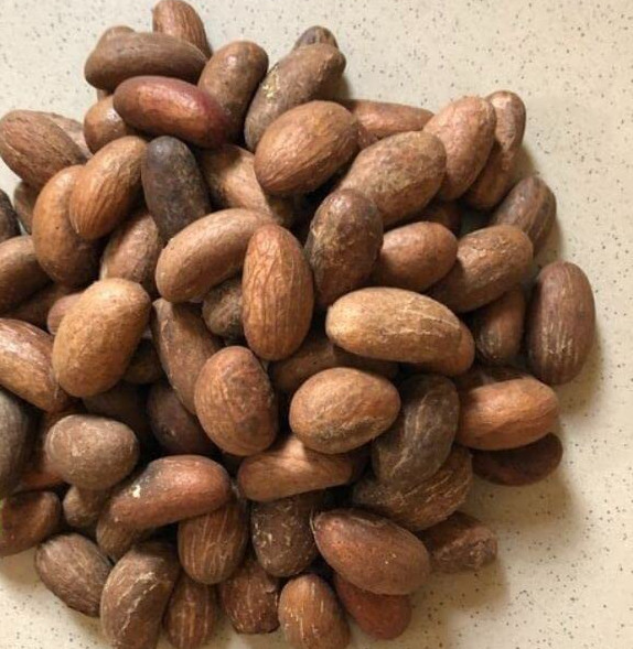 Organic Bitter Kola Nut (Garcinia Kola) 0.5LB W/Africa